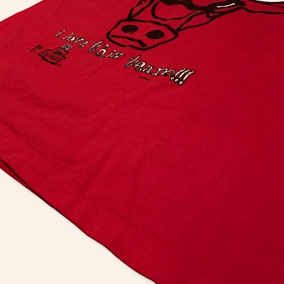 (SOLD) Chicago Bulls 1995-96 Record Breaking Year - Picture 5 of 6